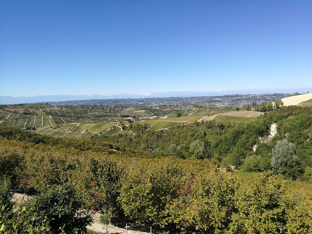 Casa Vigin Apartment Treiso